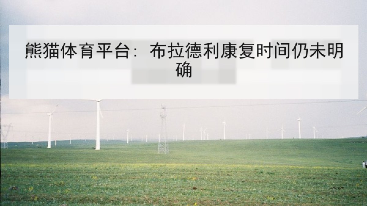 熊猫体育平台: 布拉德利康复时间仍未明确 熊猫体育平台: 布拉德利康复时间仍未明确